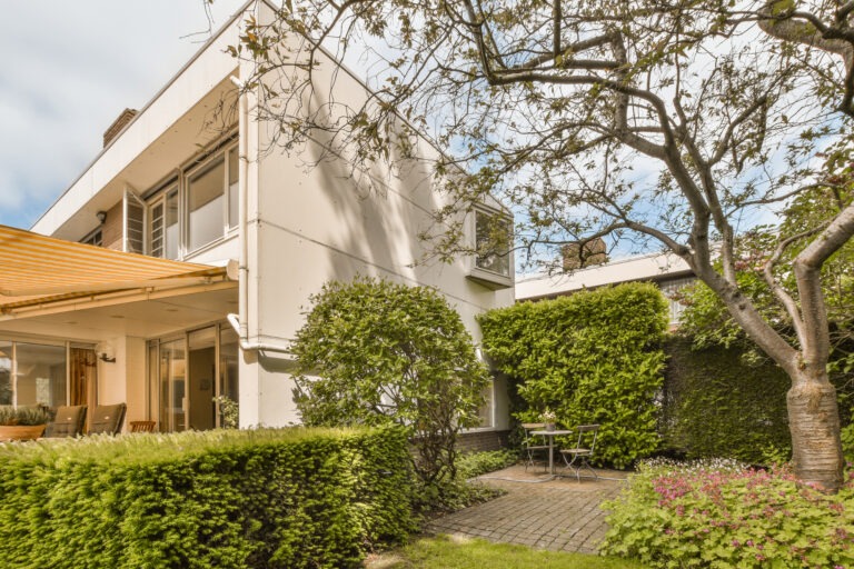 Modern new home with a lush green front garden